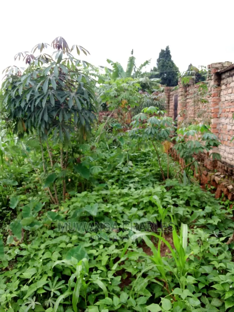 25decimals Plot Available for Sale at Kira Kimwanyi