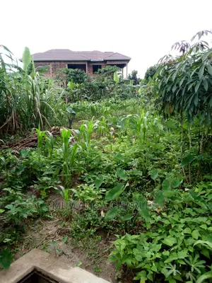 25decimals Plot Available for Sale at Kira Kimwanyi