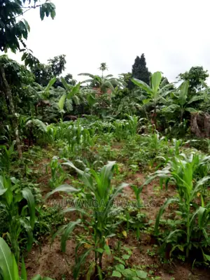 25decimals Plot Available for Sale at Kira Kimwanyi