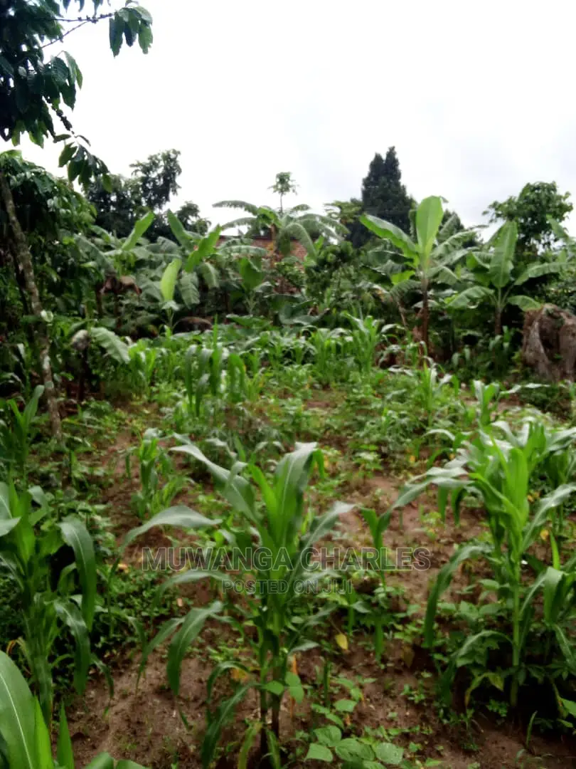 25decimals Plot Available for Sale at Kira Kimwanyi