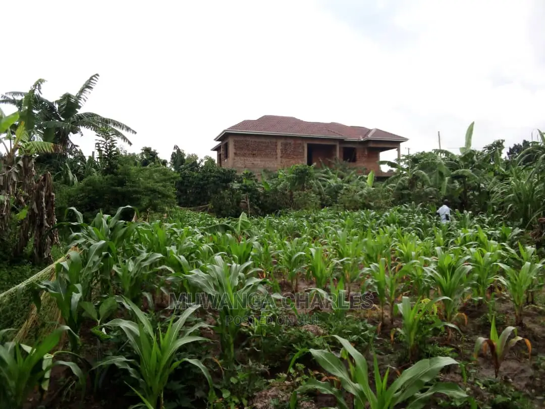 25decimals Plot Available for Sale at Kira Kimwanyi