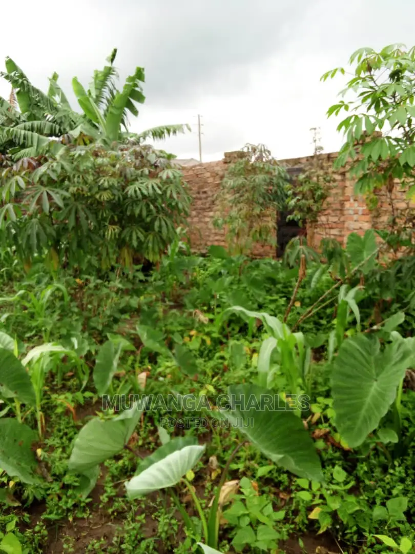 25decimals Plot Available for Sale at Kira Kimwanyi