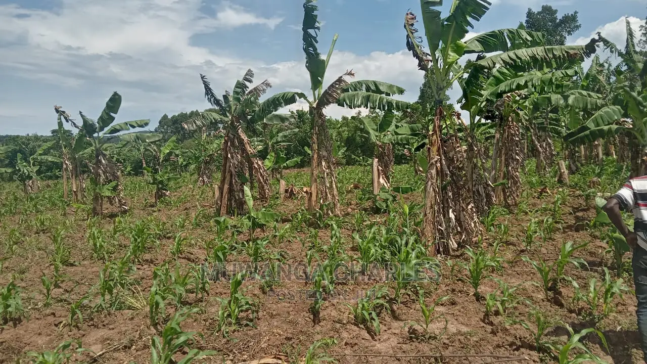 10acres of Land for Sale at Luwero