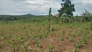 10acres of Land for Sale at Luwero