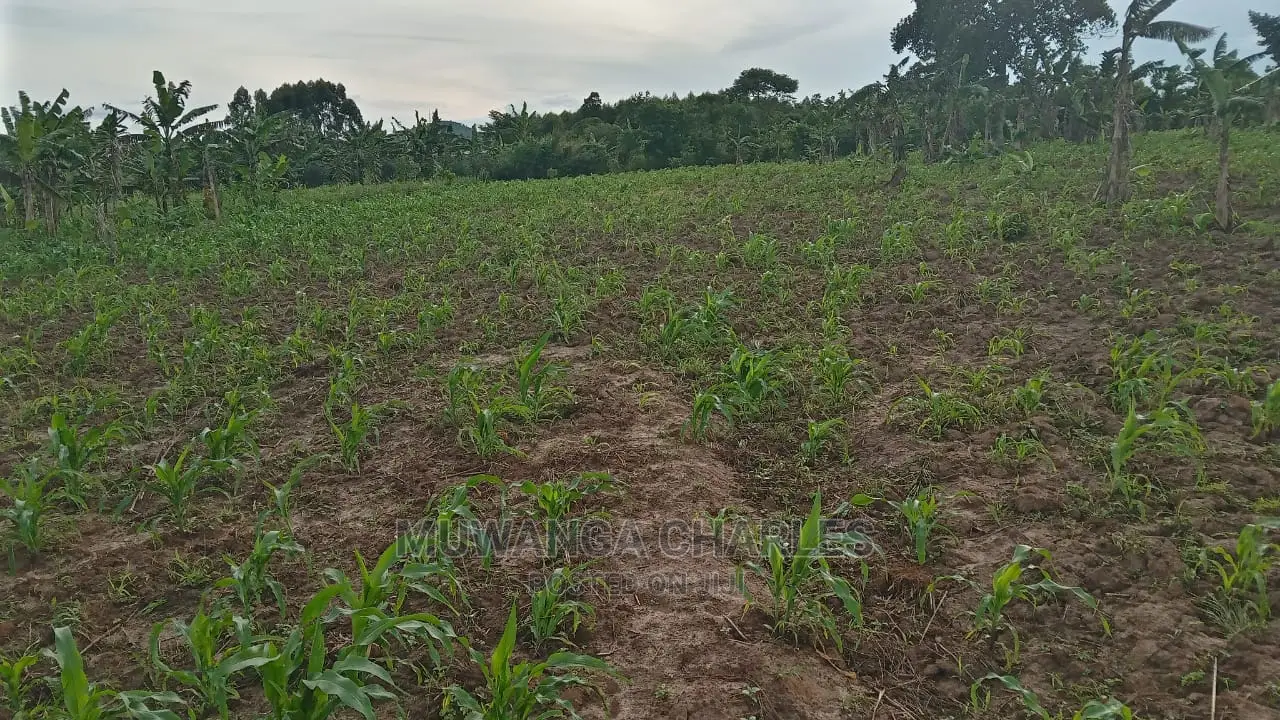 10acres of Land for Sale at Luwero