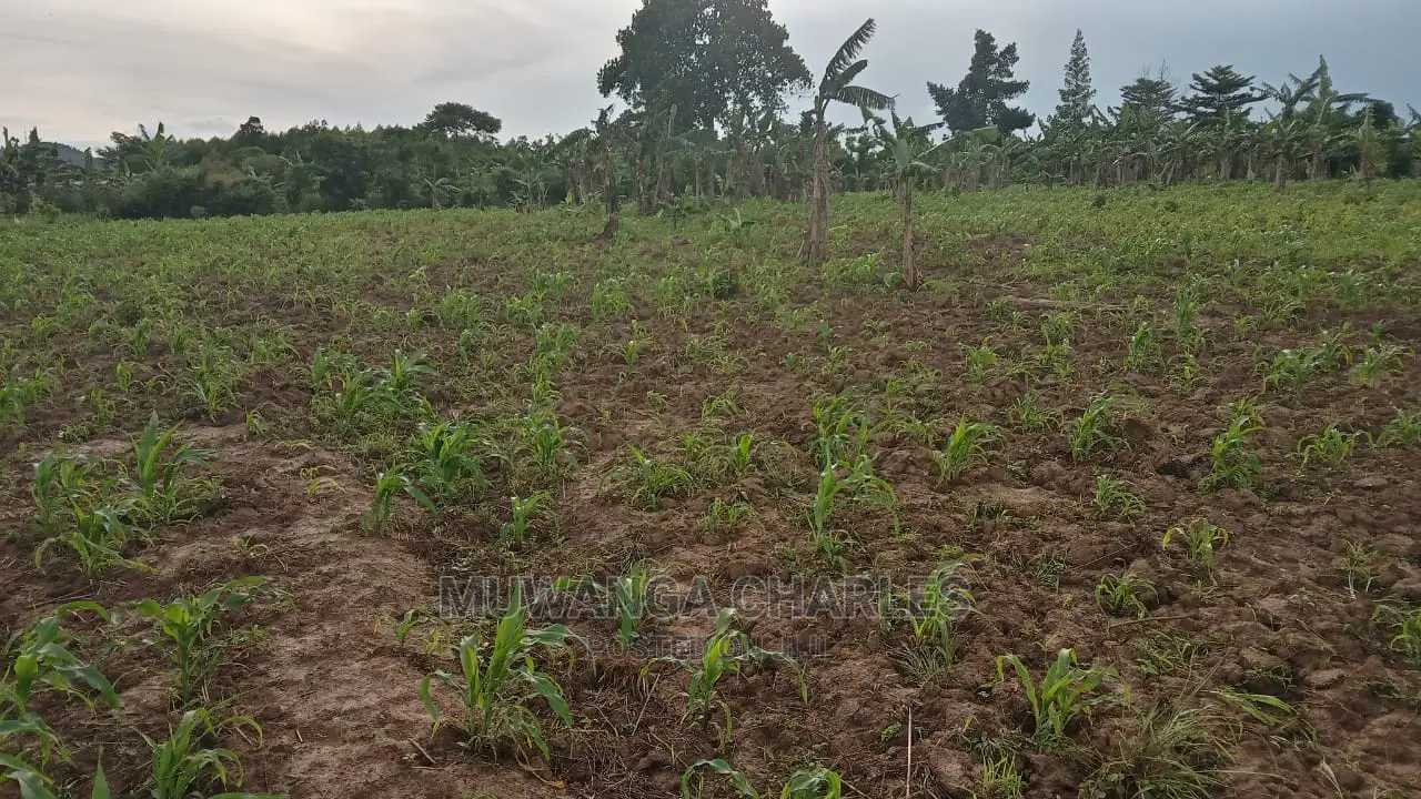 10acres of Land for Sale at Luwero