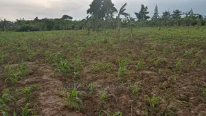 10acres of Land for Sale at Luwero