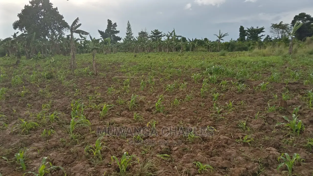 10acres of Land for Sale at Luwero