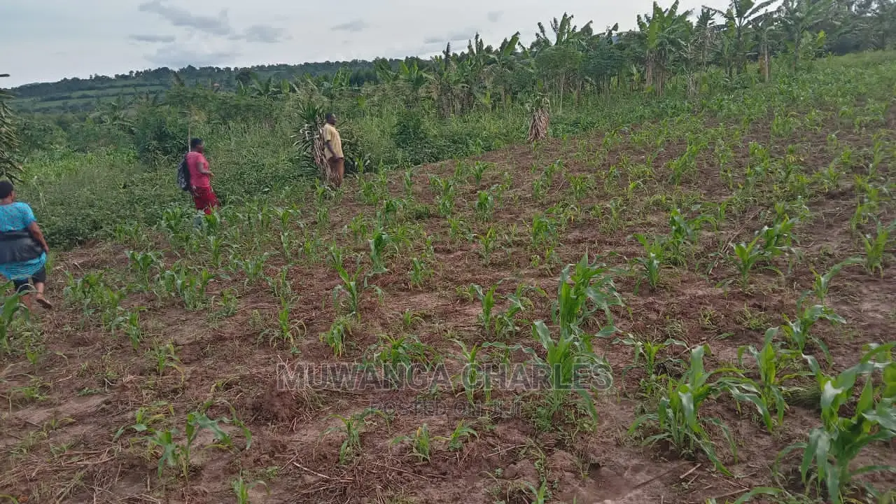 10acres of Land for Sale at Luwero