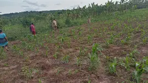 10acres of Land for Sale at Luwero