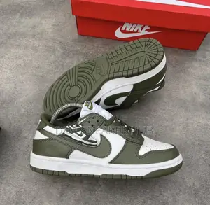 Photo - Nike SB Medium Olive