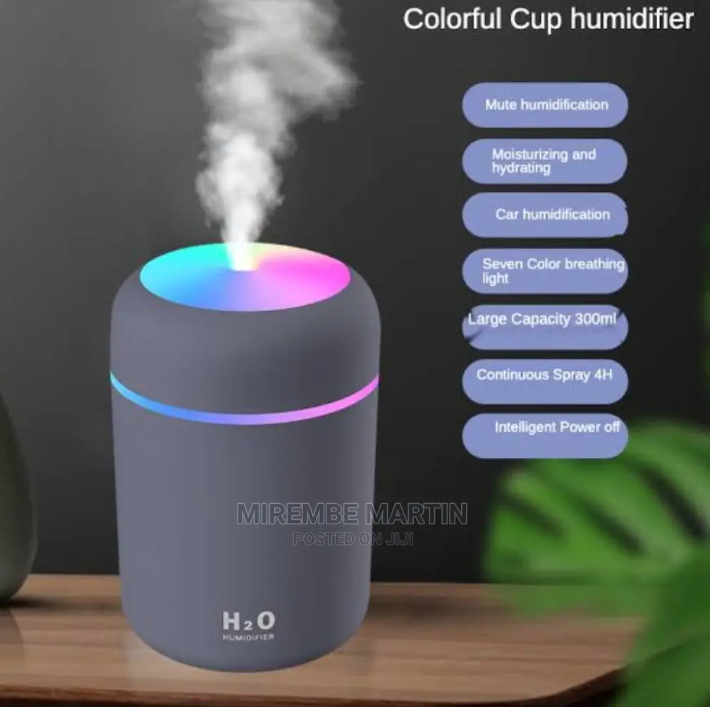 Portable Car Humidifier