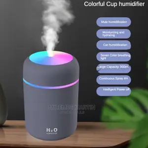 Portable Car Humidifier