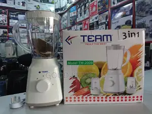 TEAM 3in 1electric Blender
