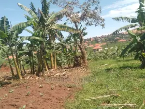 25decimals Plot for Sale at Kungu