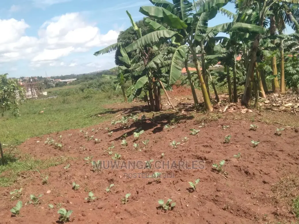 25decimals Plot for Sale at Kungu