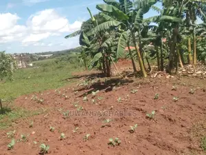 25decimals Plot for Sale at Kungu