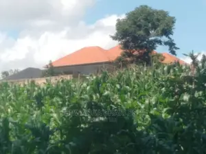 1acre of Land Available for Sale at Busukuma