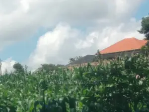 1acre of Land Available for Sale at Busukuma