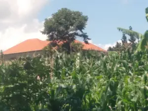 1acre of Land Available for Sale at Busukuma
