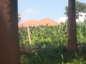 1acre of Land Available for Sale at Busukuma