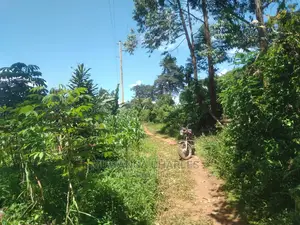 1acre of Land Available for Sale at Busukuma