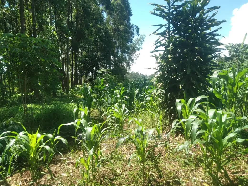 1acre of Land Available for Sale at Busukuma