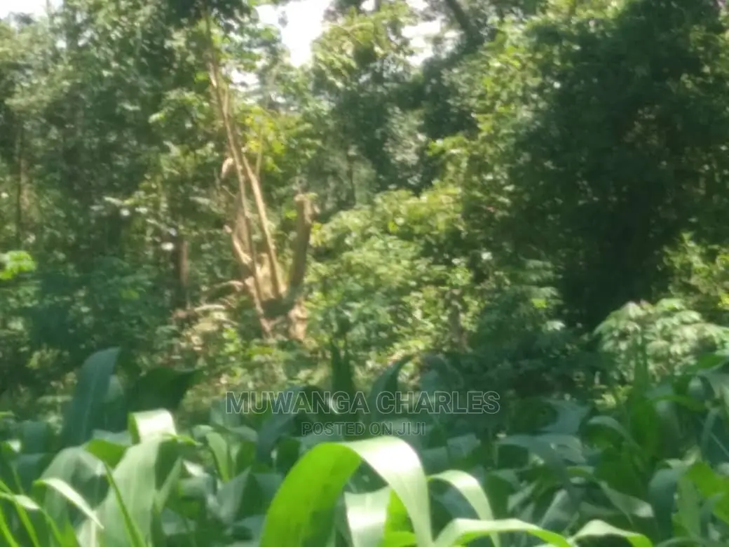 1acre of Land Available for Sale at Busukuma