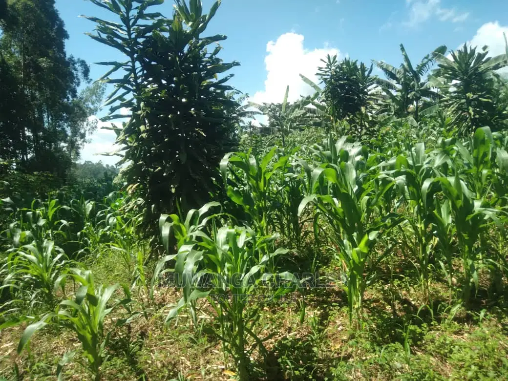 1acre of Land Available for Sale at Busukuma