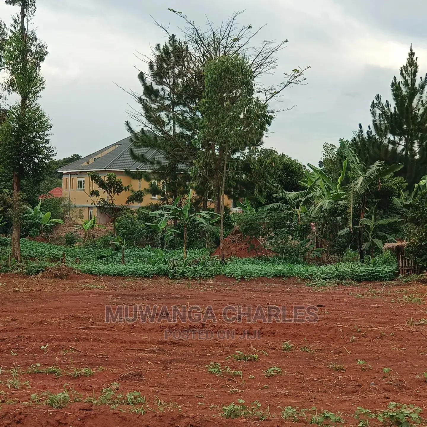 50by100ft Plot for Sale at Nakwero
