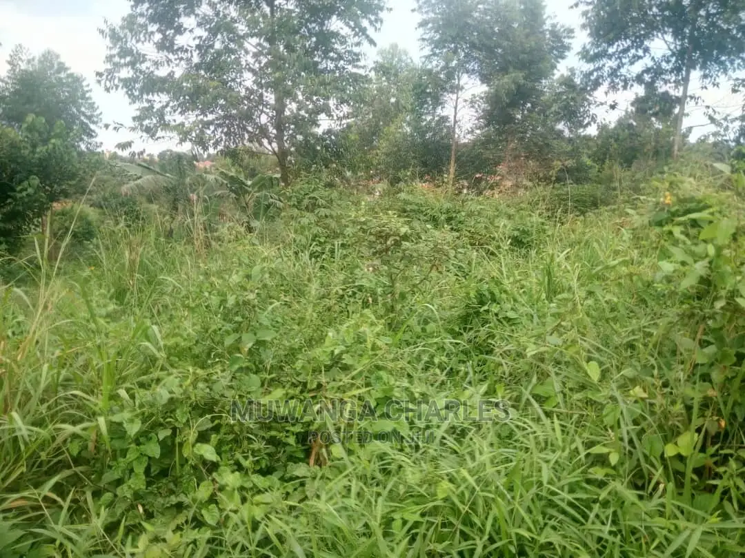 50by100ft Plot for Sale at Nakwero