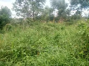 50by100ft Plot for Sale at Nakwero