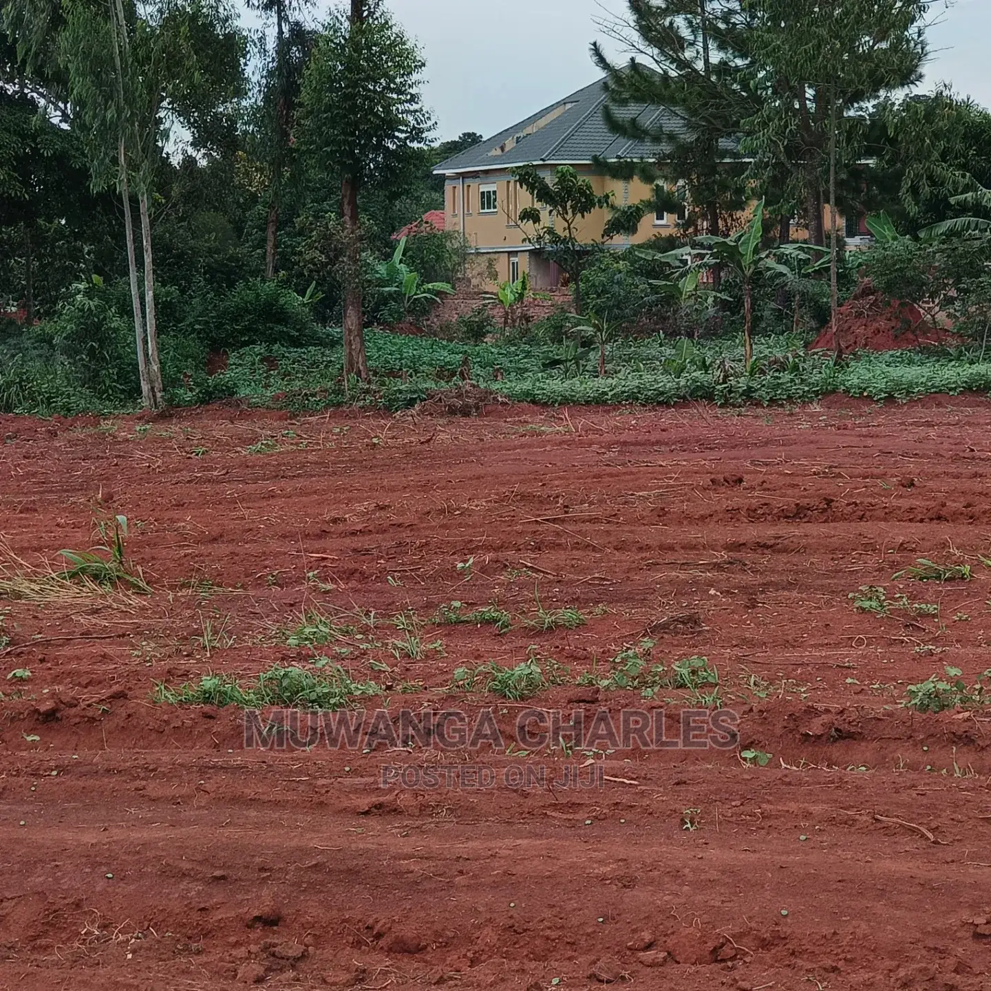 50by100ft Plot for Sale at Nakwero