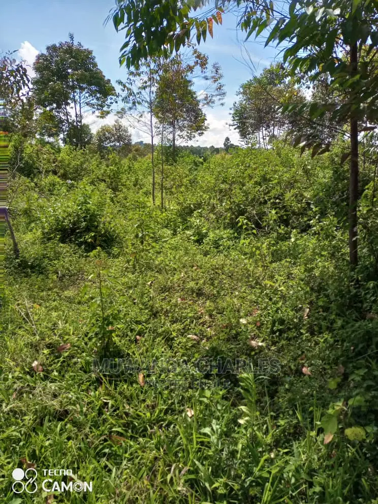 10acres of Land for Sale at Nakasongla