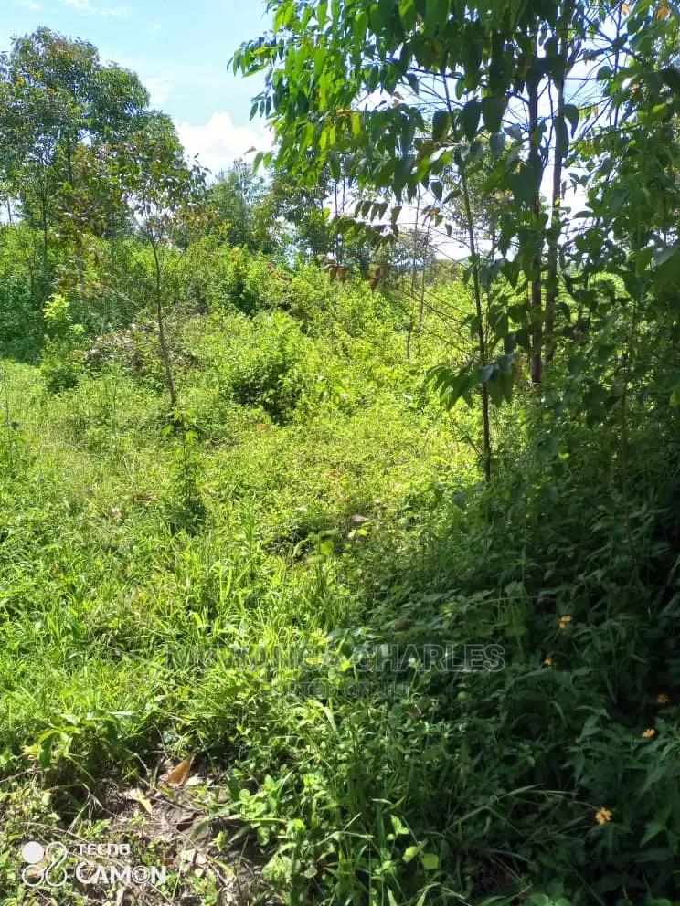 10acres of Land for Sale at Nakasongla