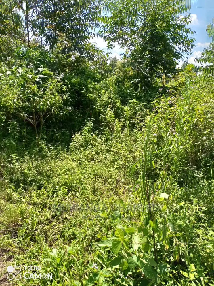 10acres of Land for Sale at Nakasongla