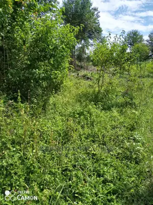 10acres of Land for Sale at Nakasongla