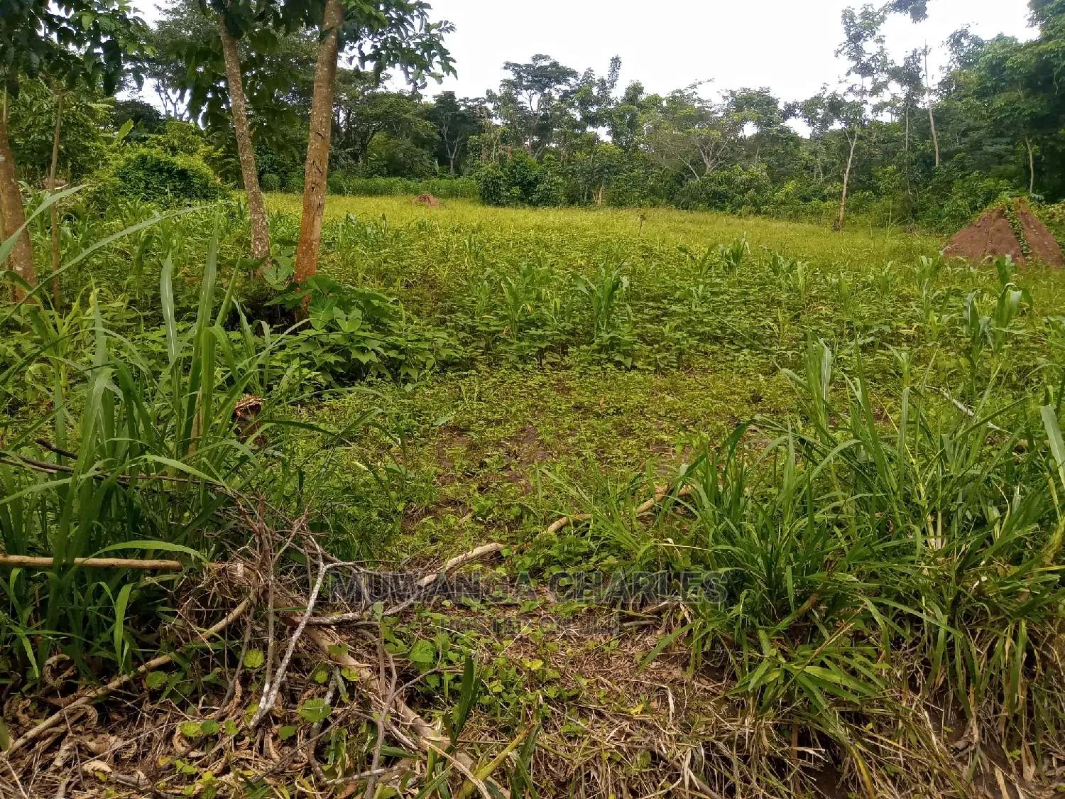 10acres of Land for Sale at Nakasongla