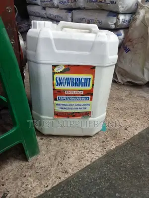 Snow Bright Polish