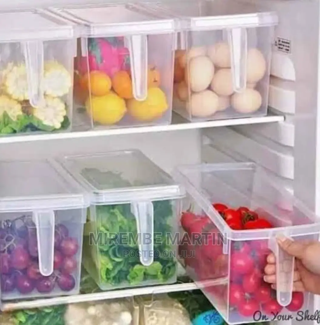 Fridge Storage Container