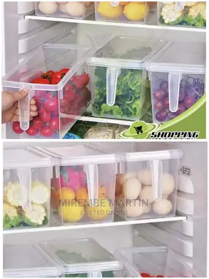 Fridge Storage Container