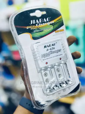 Battery Charger Fits For Aa/Aaa/9v Battery