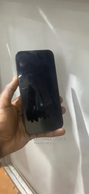 Apple iPhone 12 Pro Max 256 GB Blue