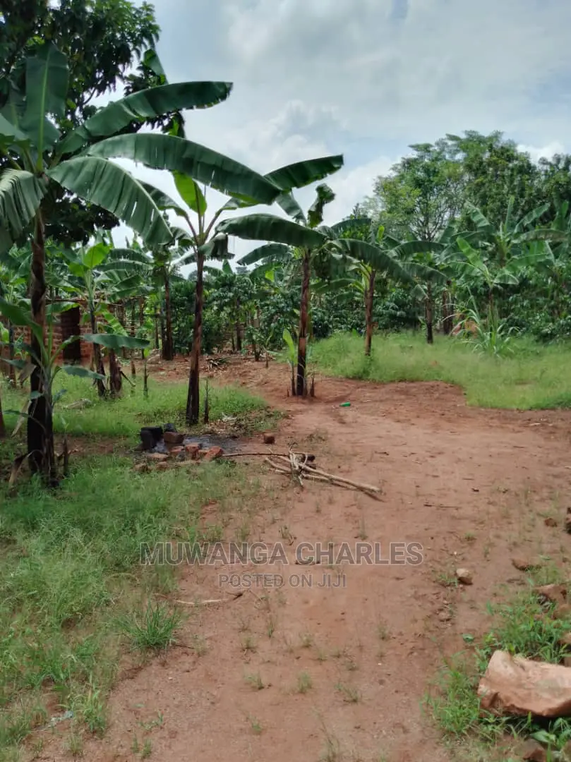 Plot Available for Sale at Kiwenda