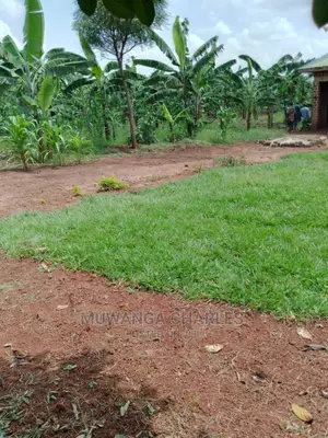 Plot Available for Sale at Kiwenda