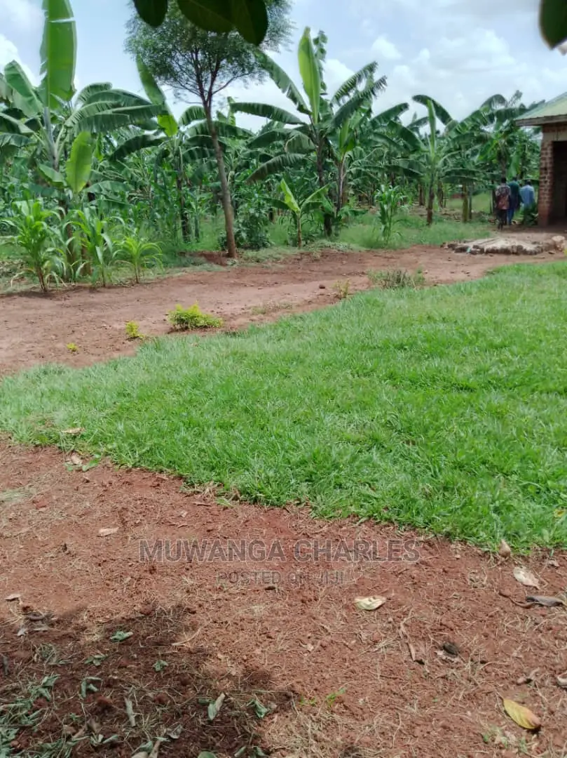Plot Available for Sale at Kiwenda