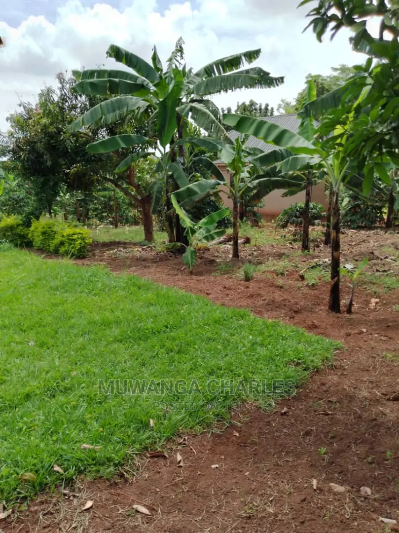 Plot Available for Sale at Kiwenda