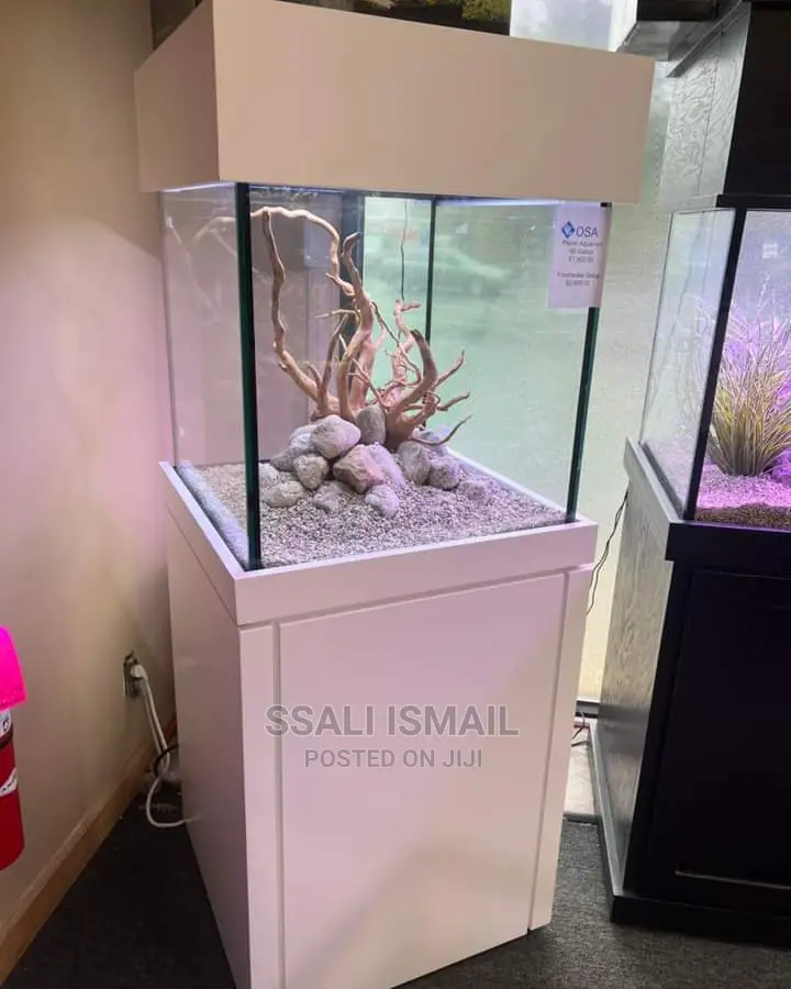 Looking Smart And Neat Aquariums