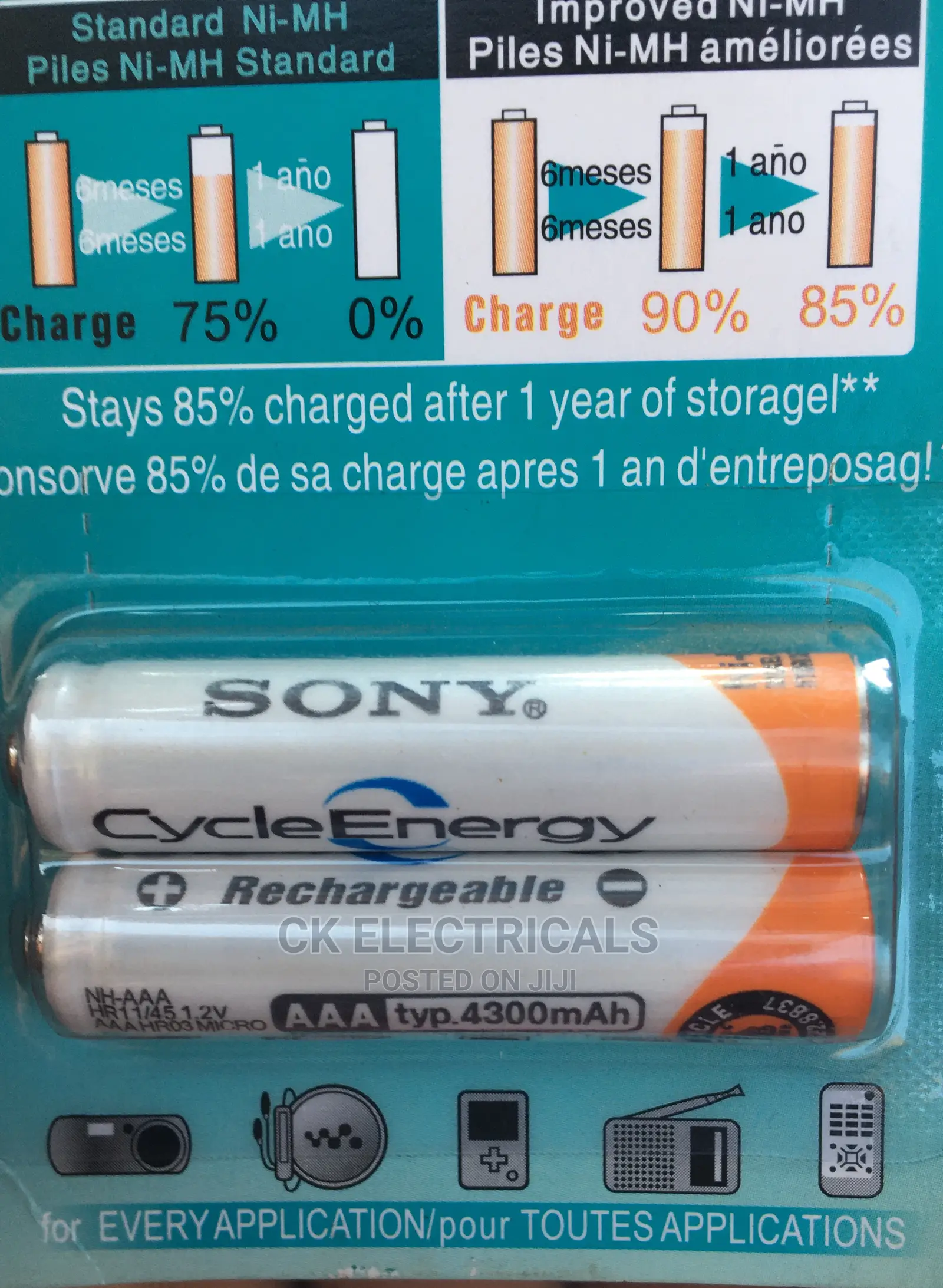 Rechargeable Batteries and Battery Charger