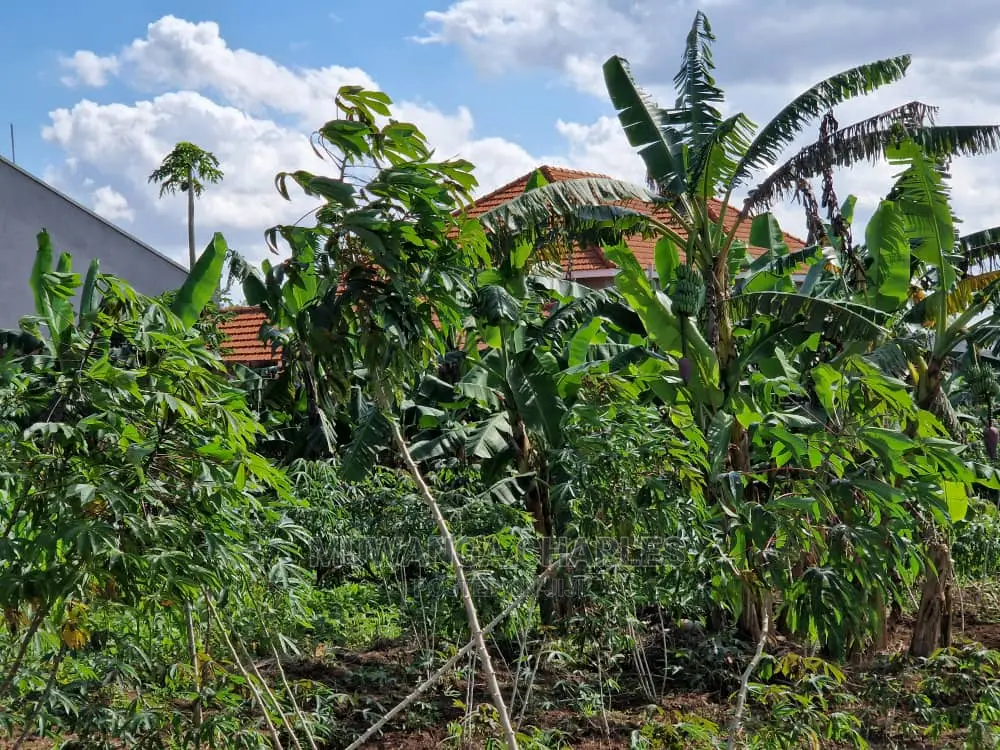 Plot's Available for Sale at Nakwero